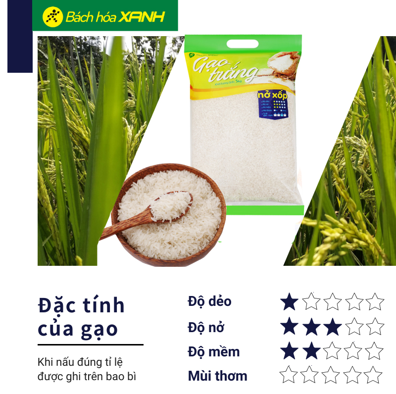 Gạo trắng Bách hoá XANH túi 5kg 0