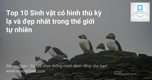 1AZoqmkcmpuPvv-0kj8cVCo-Hh6lsNAKG