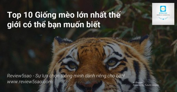 1BnlvphbkxQhoeQCKCc3OnElyICeaceBg