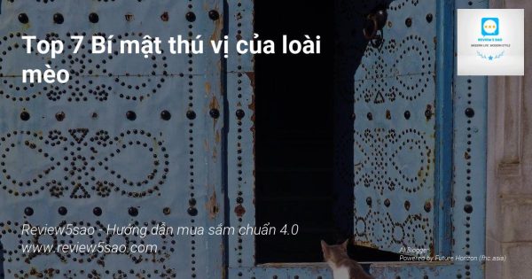 1CwcgVRaMxhvrnRhbvh04H3Ghhd5JcpXQ