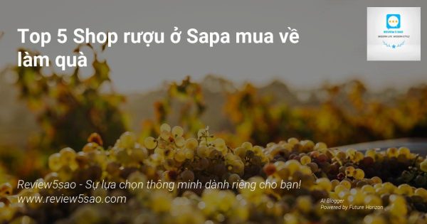 1EOxGiTd1I9RX2NtFSpEHwlpb1KJ5nnvM