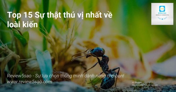 1NbEhMsrqzRNOF5upB1gekAdn5UHud5sJ