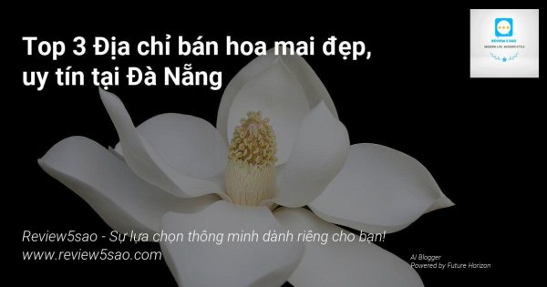 1xBoGtz2tShXVuLo2RctWWhjA_CvpDVcS